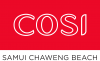 33.cosi_